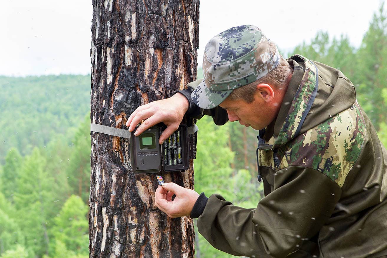 Trail Camera neemt geen foto's? 9 Common & Quick Fixes