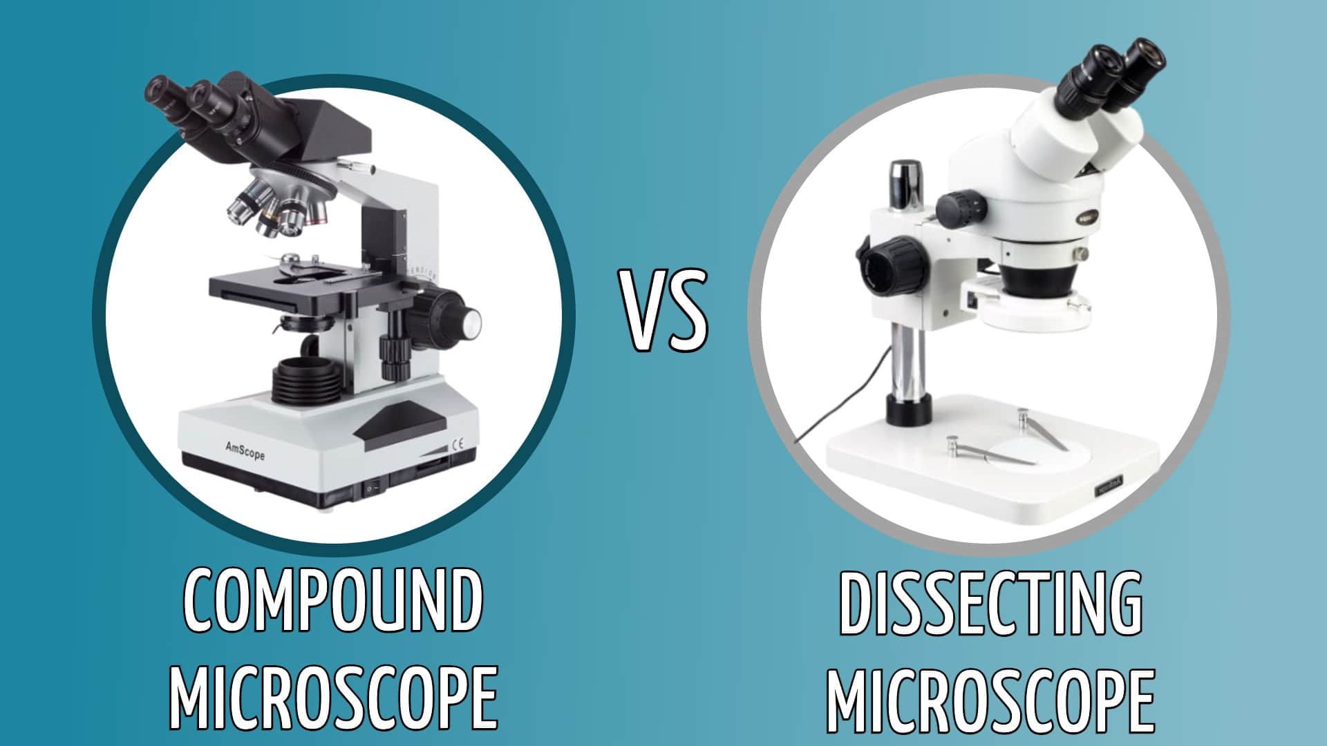 Samengestelde versus ontleedmicroscoop: wat is het verschil?