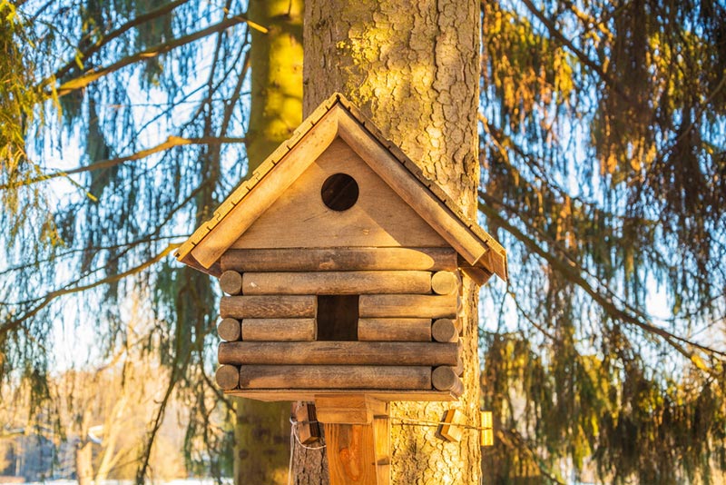 9 DIY blokhut vogelhuis plannen die je vandaag kunt maken (met foto's)